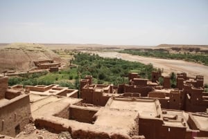 From Marrakech: 2-Day Sahara Tour to Zagora & Ait Ben Haddou