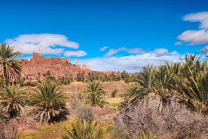 From Marrakech: 2-Day Trip to Zagora Desert with Berber Camp