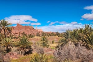 Från Marrakech: 2-dagars äventyr till Zagoraöknen