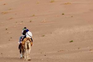 Marrakechista: Zagoran autiomaahan: 2 päivän seikkailu Zagoran autiomaahan
