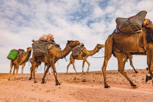 From Marrakech: 2 Day Trip to Zagora Desert