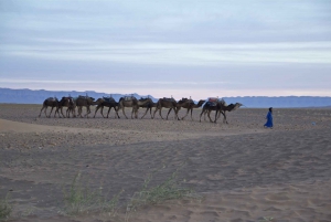 Vanuit Marrakech: 2-daagse Zagora woestijnkampeertrip