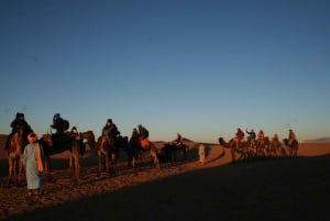 Da Marrakech: Escursione di 2 giorni nel deserto di Zagora