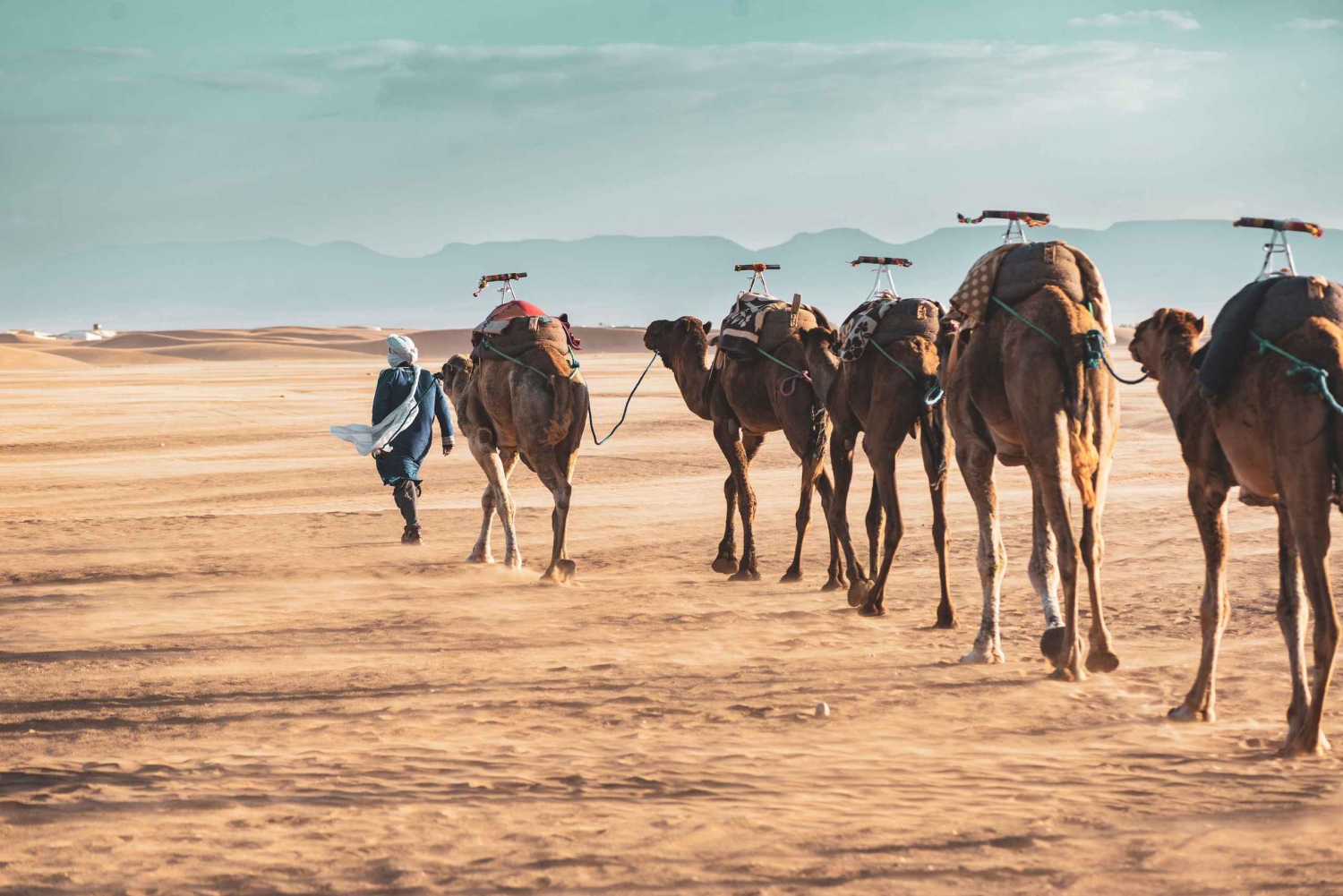 Fra Marrakech: 2-dagers ørkentur til Zagora via Ait Benhaddou