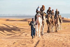Fra Marrakech: 2-dagers ørkentur til Zagora via Ait Benhaddou
