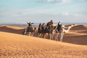 Fra Marrakech: 2-dagers ørkentur til Zagora via Ait Benhaddou