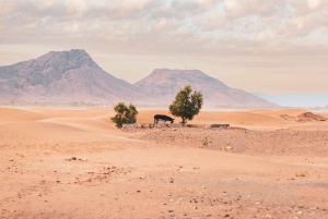Fra Marrakech: 2-dagers ørkentur til Zagora via Ait Benhaddou