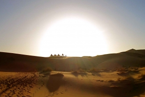 From Marrakech: 2-Day Zagora Desert Trip