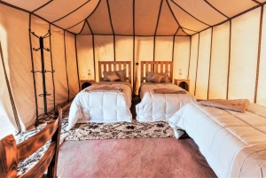 Fra Marrakech: 2-dagers Zagora Luxury Camp