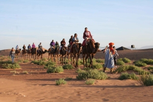 Fra Marrakech: 2-dagers Zagora Luxury Camp