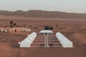 Fra Marrakech: 2-dagers Zagora Luxury Camp