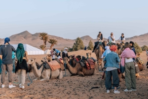 Fra Marrakech: 2-dagers Zagora Luxury Camp