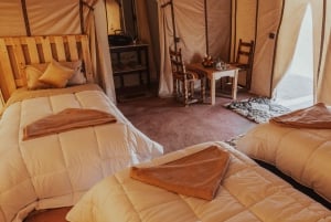 From Marrakech: 2-Day Zagora Desert Camp Trip