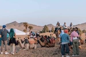 From Marrakech: 2-Day Zagora Desert Camp Trip