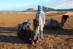 マラケシュ発ラクダ乗りとザグーラ砂漠キャンプ2日間