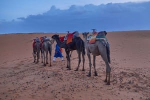 From Marrakech : 2 Days 1 night trip to Fes via Merzouga