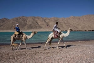 Fra Marrakech: 2 dage, 1 nat ved Atlanterhavet, Essaouira og Agadir-stranden