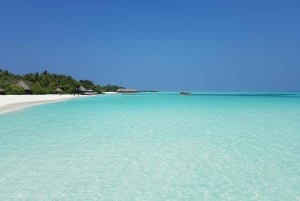 Fra Marrakech: 2 dage, 1 nat ved Atlanterhavet, Essaouira og Agadir-stranden