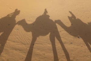 Fra Marrakech: 2 dage, 1 nat ved Atlanterhavet, Essaouira og Agadir-stranden