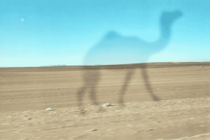 De Marraquexe: viagem de 2 dias ao deserto com regresso a Fez ou Marraquexe