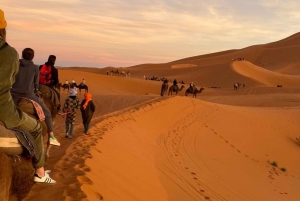 From Marrakech: 2 Days Desert trip to Fes via Merzouga