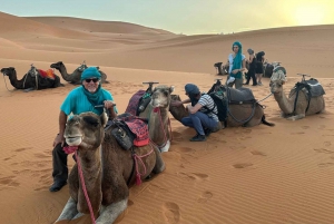 From Marrakech: 2 Days Desert trip to Fes via Merzouga