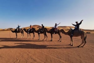 From Marrakech: 2 Days Desert trip to Fes via Merzouga