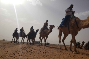 Au départ de Marrakech, 2 jours d'excursion dans le Sahara pour découvrir le désert de Zagora et les Kasbahs