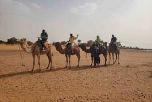 Au départ de Marrakech, 2 jours d'excursion dans le Sahara pour découvrir le désert de Zagora et les Kasbahs