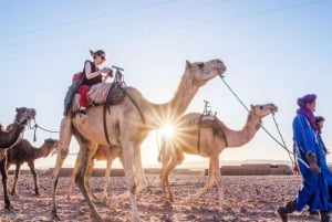 From Marrakech: 2-Days Zagora Desert & Ait Ben Haddou