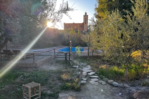 A partir de Marraquexe: Excursão de 2 horas de buggy no deserto de Agafay Advanture