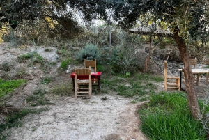 A partir de Marraquexe: Excursão de 2 horas de buggy no deserto de Agafay Advanture