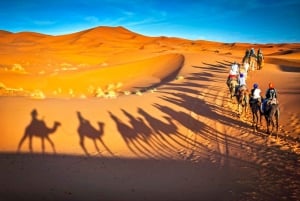 Fra Marrakech: 2-dages ørkensafari til Zagora og Ben Haddou