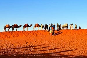 Z Marrakeszu 3-dniowa, 2-dniowa wycieczka na pustynię do Wydm Merzouga