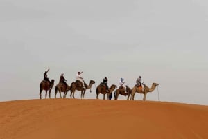 De Marraquexe: Excursão de 3 dias e 2 noites pelo deserto do Saara até Fes