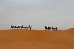 Z Marrakeszu: 3-dniowa, 2-Nocna Wycieczka na Pustynię Sahara do Fes