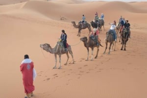 Z Marrakeszu: 3-dniowa, 2-Nocna Wycieczka na Pustynię Sahara do Fes