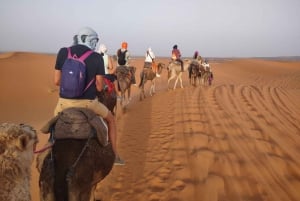 Z Marrakeszu: 3-dniowa, 2-Nocna Wycieczka na Pustynię Sahara do Fes