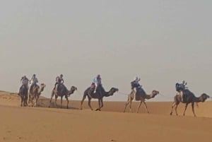 De Marraquexe: Excursão de 3 dias e 2 noites pelo deserto do Saara até Fes