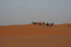 De Marraquexe: Excursão de 3 dias e 2 noites pelo deserto do Saara até Fes