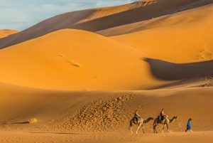 From Marrakech: 3-Day Desert Adventure to Merzouga