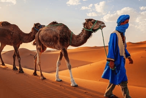 Desde Marrakech: 3 días en el desierto, paseo en camello y quad a Fez