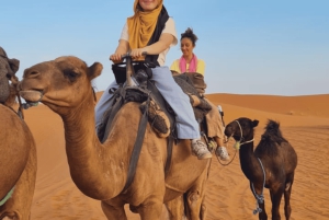 Desde Marrakech: 3 días en el desierto, paseo en camello y quad a Fez