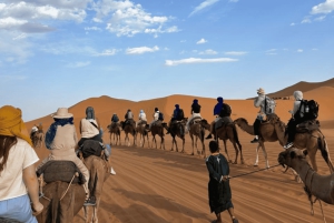 Desde Marrakech: 3 días en el desierto, paseo en camello y quad a Fez