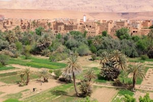 From Marrakech: 3-Day Desert Tour to Fes via Erg Chebbi