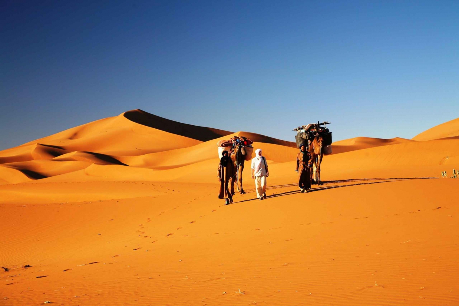 Fra Marrakech: 3-dages ørkentur til Fes