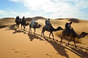 Au départ de Marrakech : Circuit de 3 jours dans le désert jusqu'à Fès