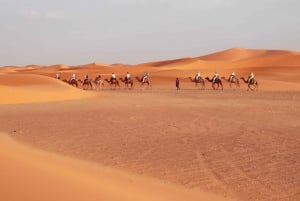 Van 3-daagse woestijntocht naar Fes