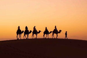 Da Marrakech : Tour nel deserto di 3 giorni a Fes
