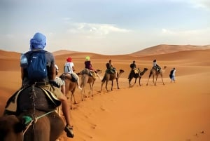 Da Marrakech: 3 giorni nel deserto con soggiorno in campo, cammello e pasti